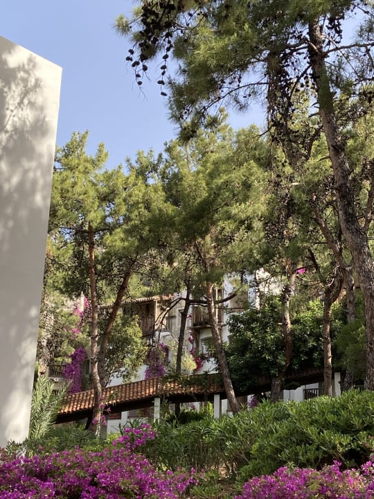 Gartenanlage Hapimag Sea Garden Resort