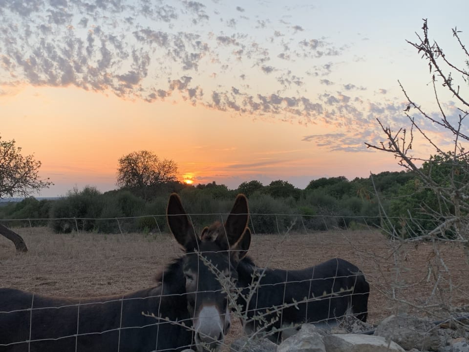 Sport & Freizeit Hotel Sa Galera