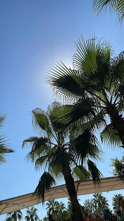 Außenansicht Sultan of Dreams Hotel & Spa