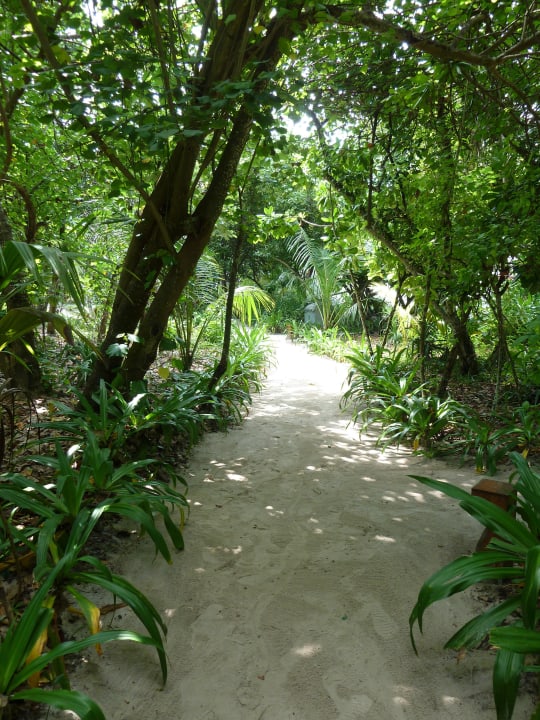 Wege in der Inselmitte NH Collection Maldives Reethi Resort