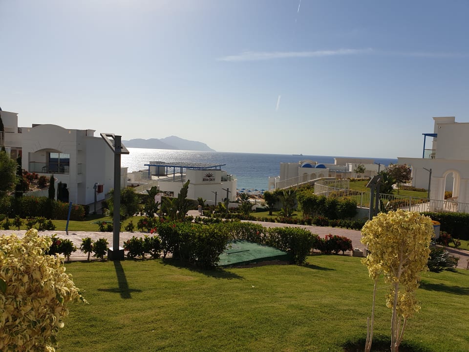 Ausblick Pickalbatros Palace Resort