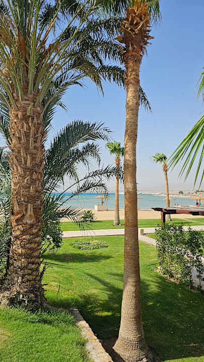 Ausblick Shams Prestige Abu Soma-Adults Only