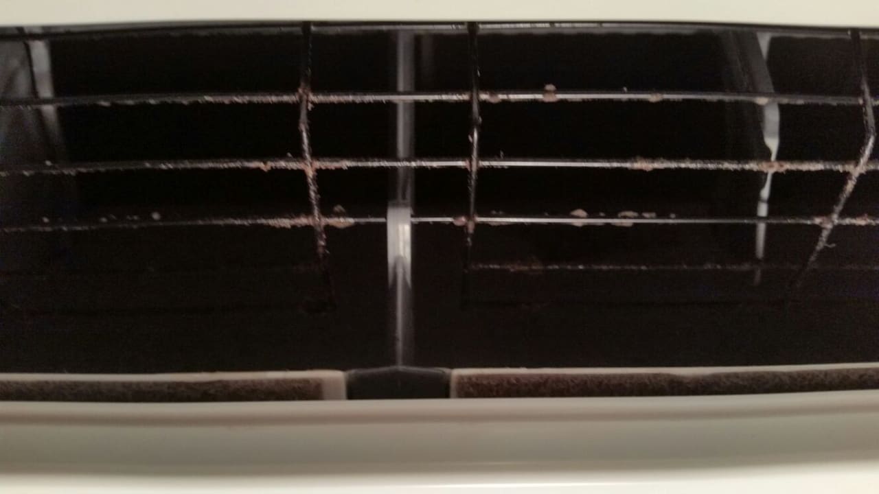 Zimmer Tropical Islands Resort