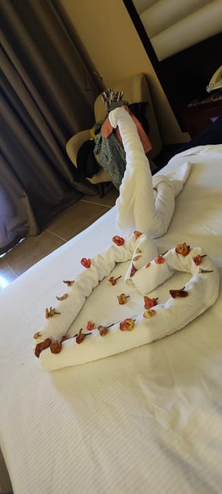 Zimmer Pickalbatros Palace Resort