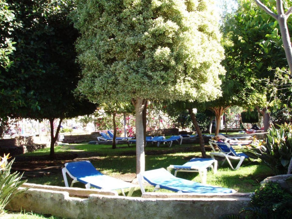 Sonnenliegen im ruhigen Hotelgarten BLUESEA Costa Jardin Spa