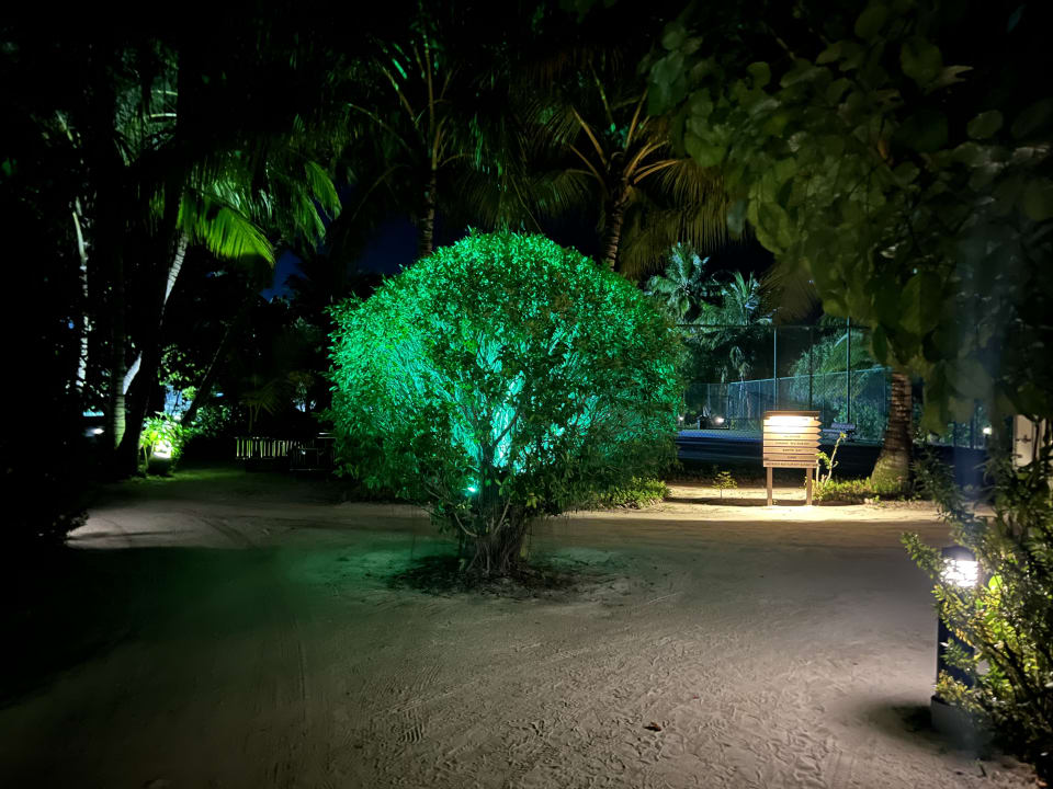 Gartenanlage Vilamendhoo Island Resort & Spa