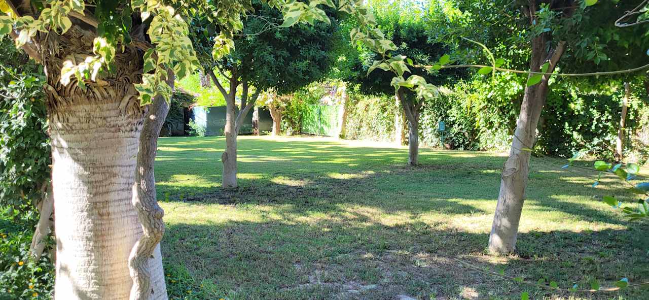 Gartenanlage Hotel Gardenia Beach