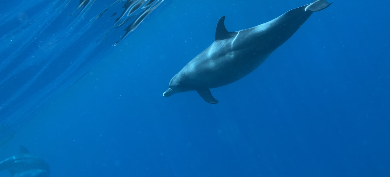 Sport & Freizeit Three Corners Sea Beach Resort