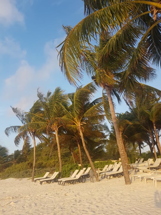 Strand Catalonia Royal Tulum Beach & Spa Resort - Adults only