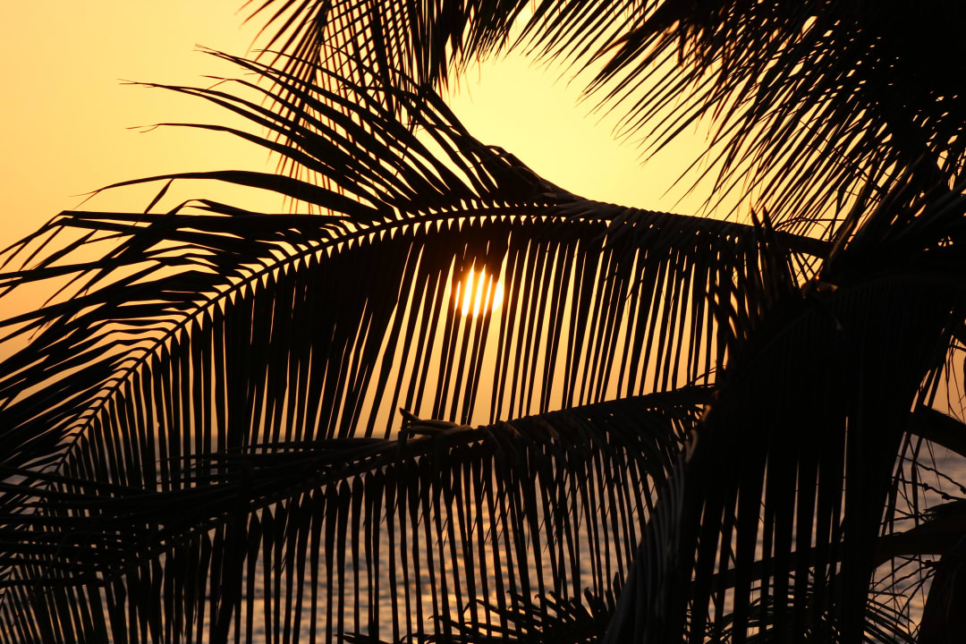 Sonnenuntergang  Summer Island Maldives