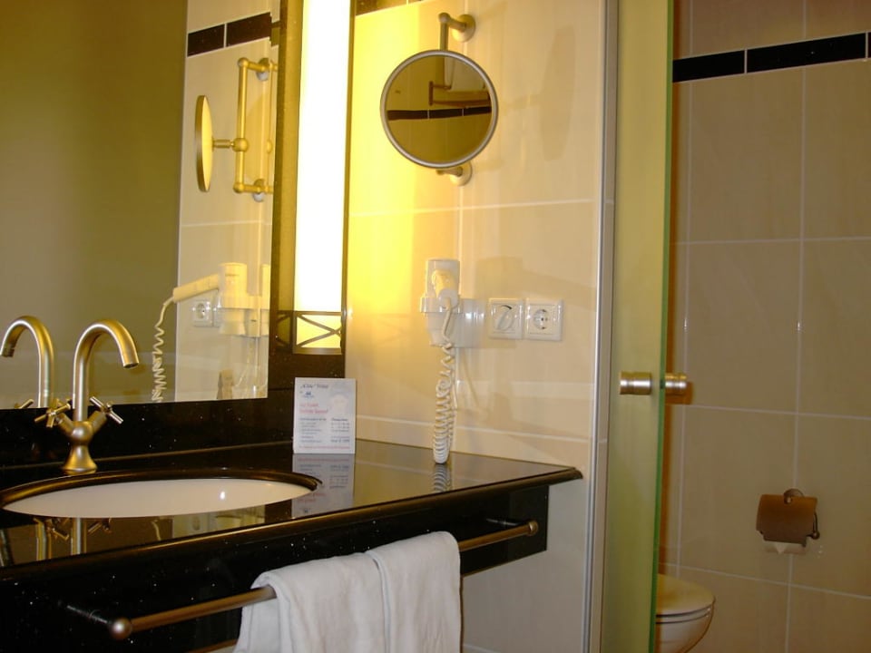 Maritim Dresden Maritim Hotel Dresden