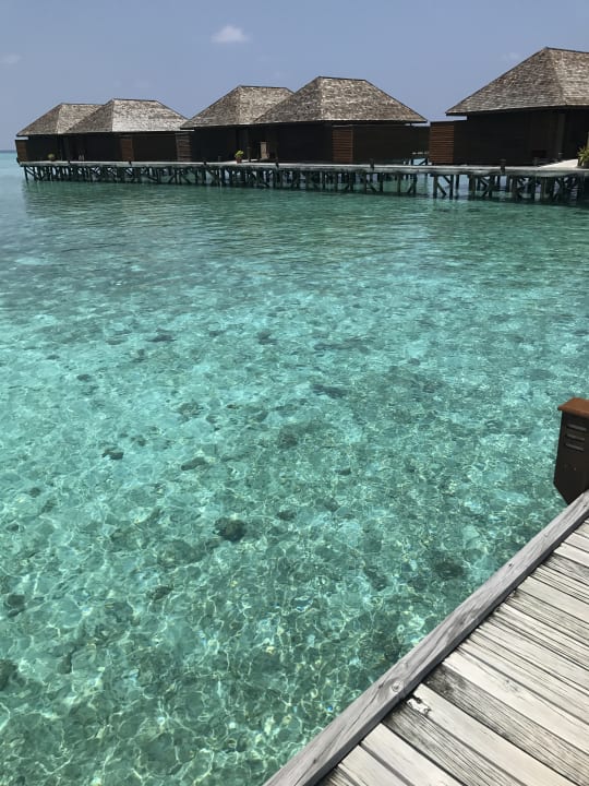 Sonstiges Veligandu Maldives Resort Island