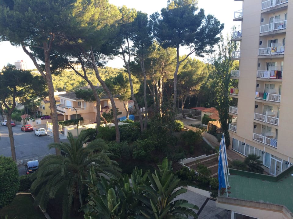 Blick vom Balkon  Grupotel Orient