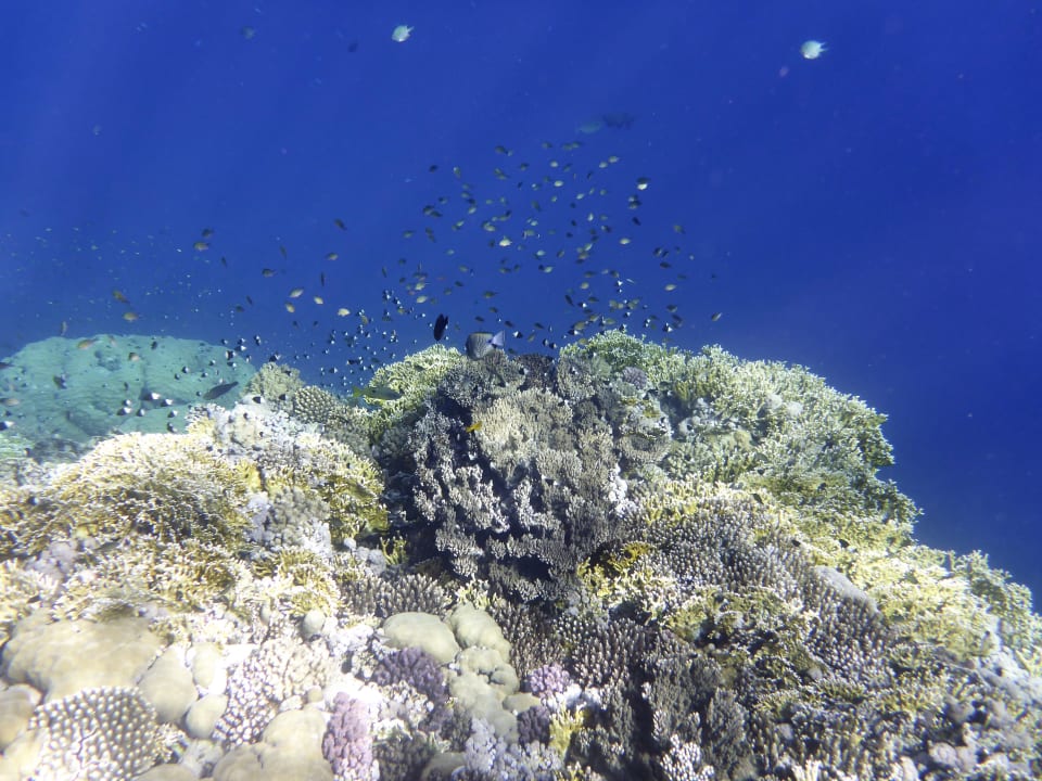 Strand Novotel Marsa Alam Beach Resort