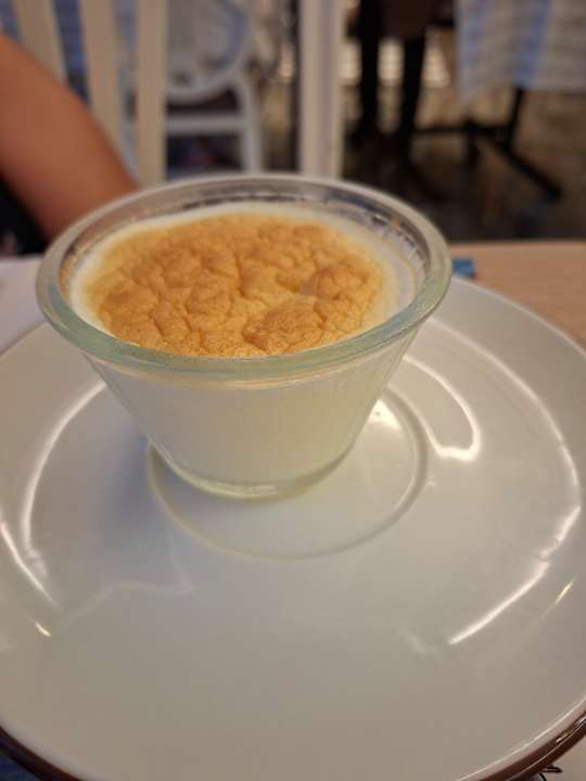 Gastro Seashell Vega