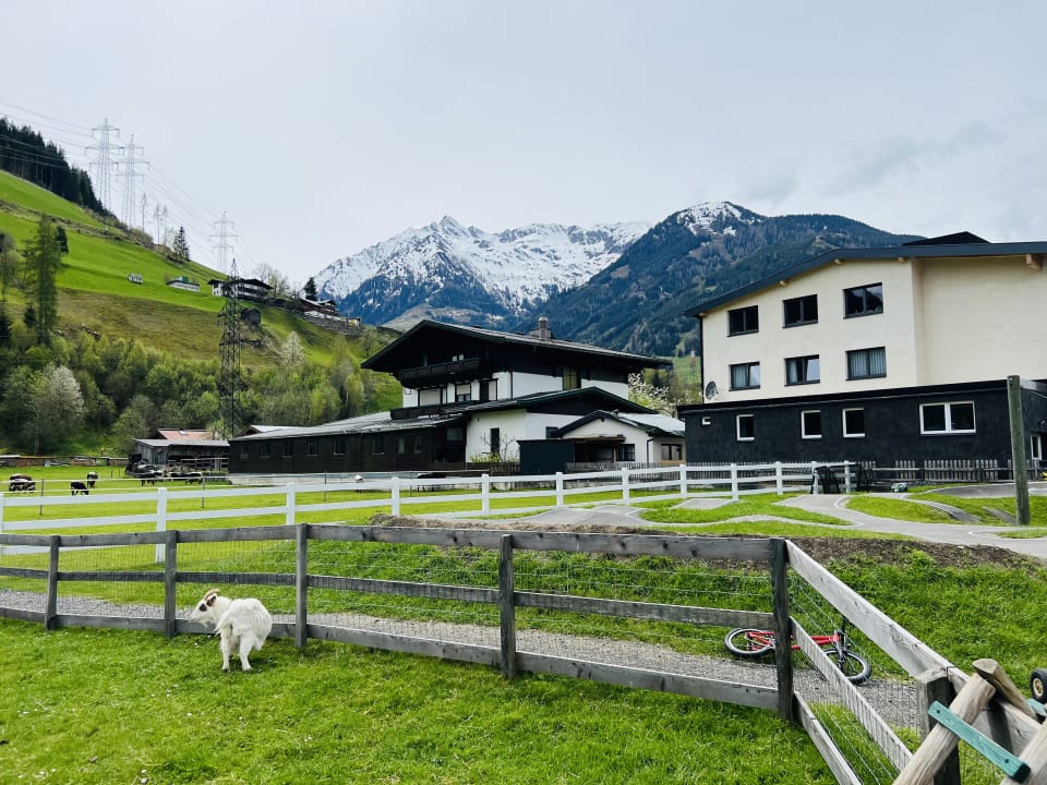 Außenansicht Kinderhotel Felben