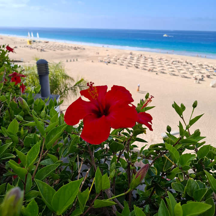Ausblick Hotel Riu Palace Jandia