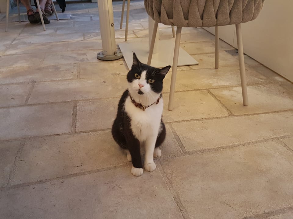 Sonstiges Hotel Lemongarden