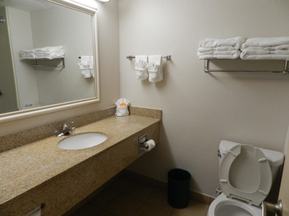 Badezimmer Quality Inn at International Drive