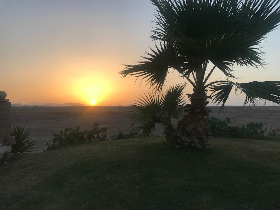 Gartenanlage Three Corners Sea Beach Resort