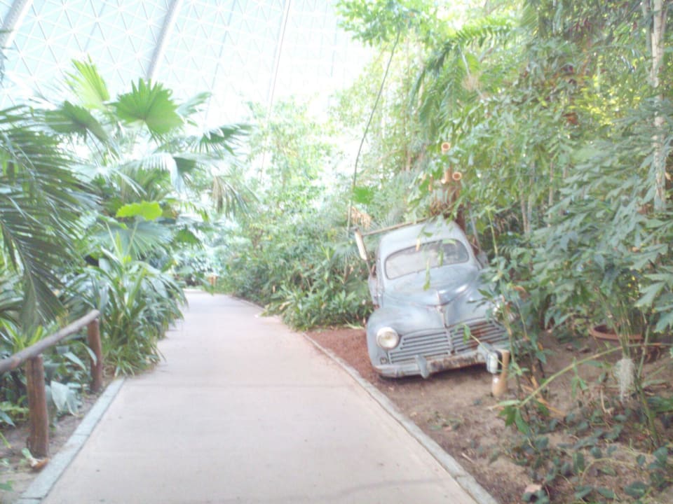 Regenwald  Tropical Islands Resort