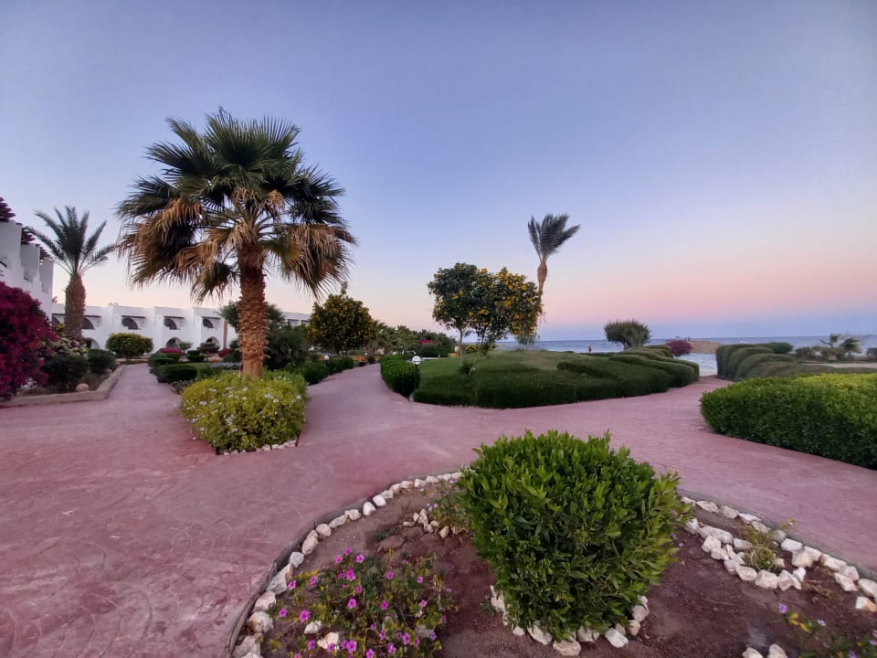 Gartenanlage Three Corners Equinox Beach Resort