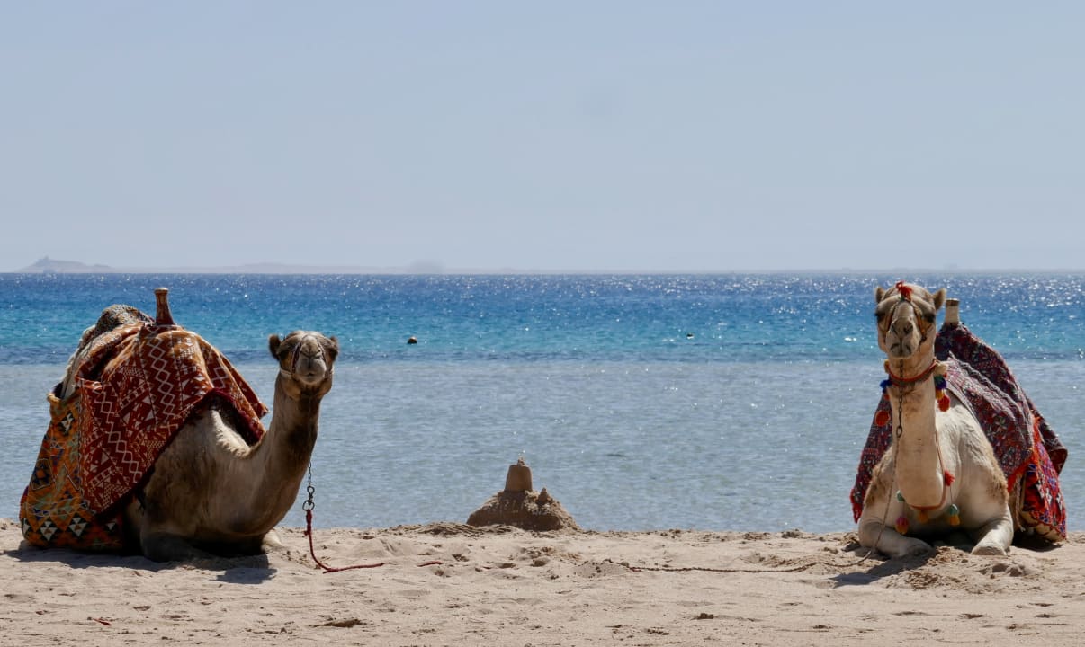Strand Hotel Kempinski Soma Bay