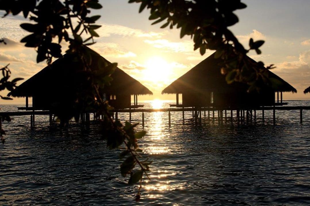 Wasserbungalows Adaaran Club Rannalhi - All Inclusive