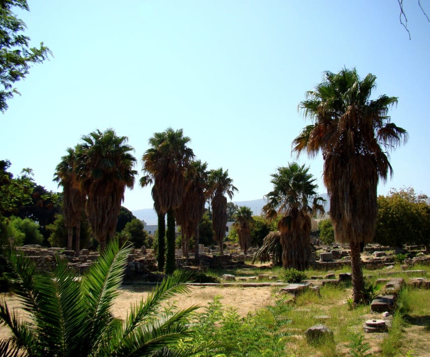 Kos , Grecja Royal Arena Resort & Spa