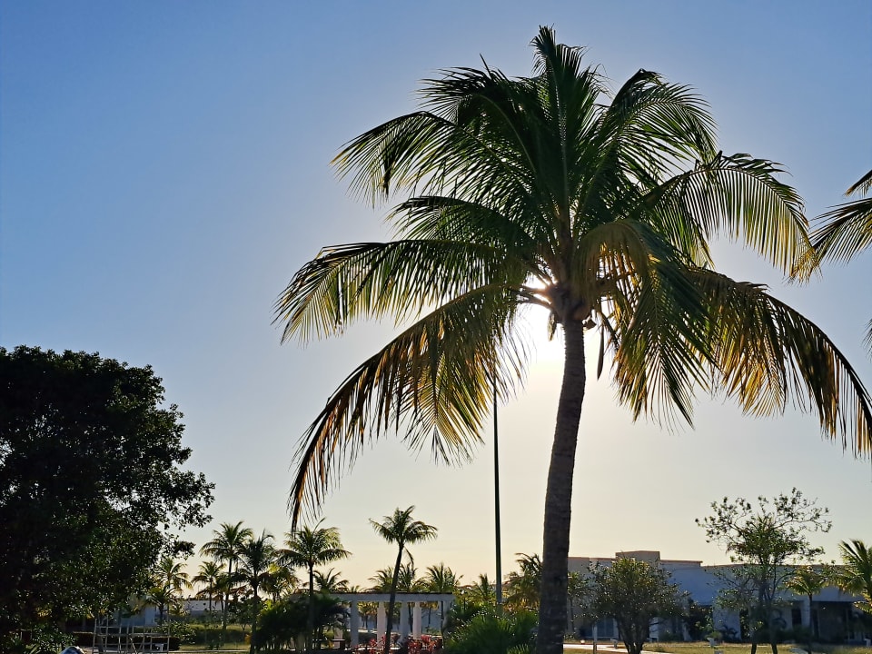 Gartenanlage Iberostar Coral Holguín