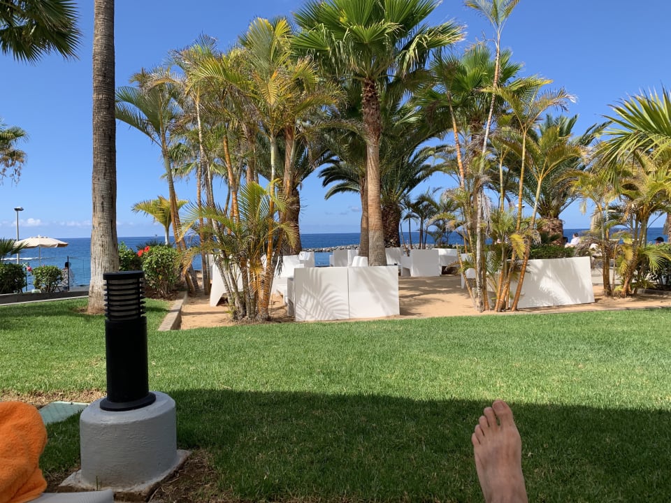 Gartenanlage Hotel Riu Palace Tenerife