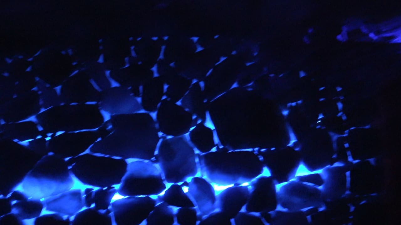 Sport & Freizeit Schwarzwald Resort Dollenberg