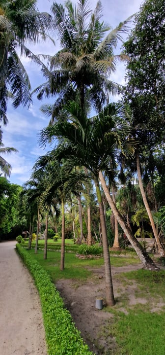 Gartenanlage Adaaran Select Meedhupparu Island Resort - Premium All Inclusive