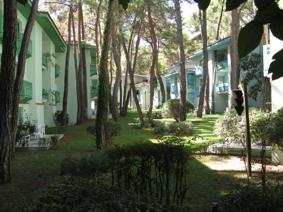 Bungalows zwischen dem Baumbestand eingebettet Ulusoy Kemer Holiday Club