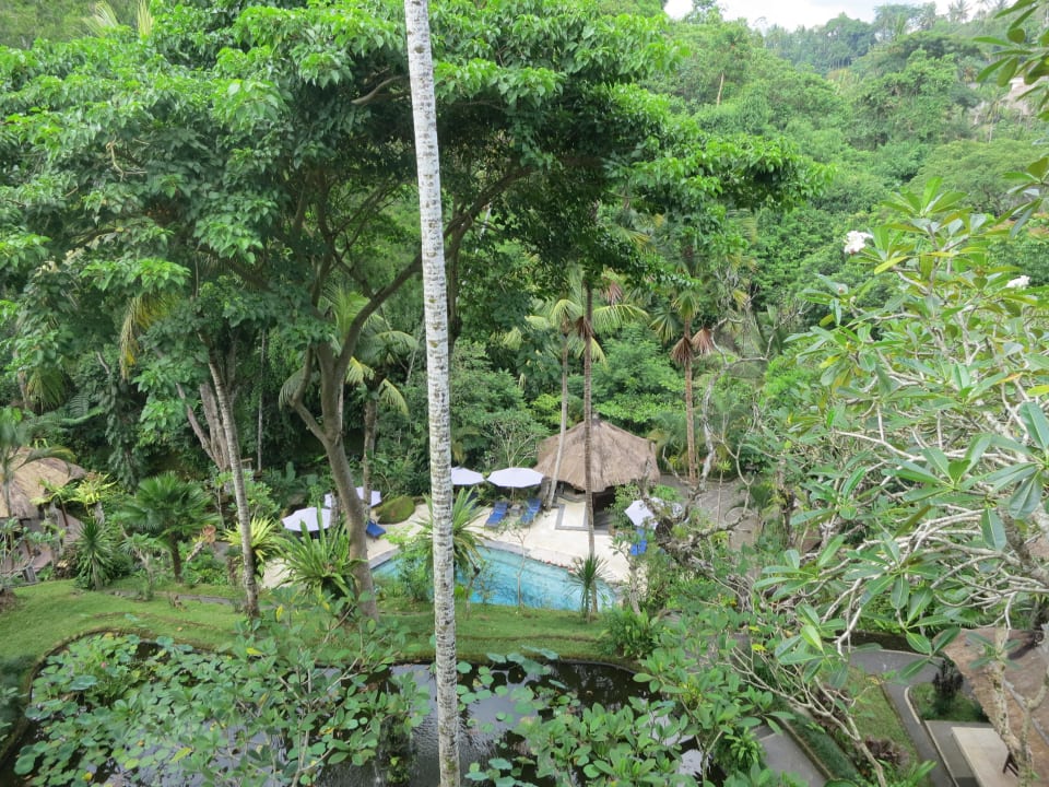 Ausblick von Gunung 2 Hotel Tjampuhan