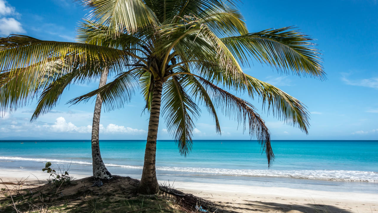 Strand Viva V Samana by Wyndham – Adults Only