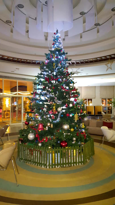 Lobby Paloma Oceana