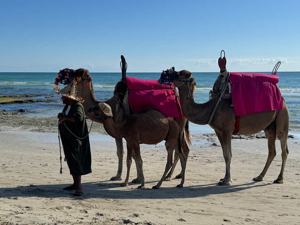 Strand Iliade Aqua Park Djerba