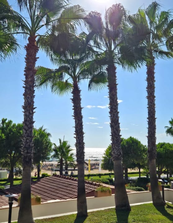 Ausblick Kamelya Aishen Club