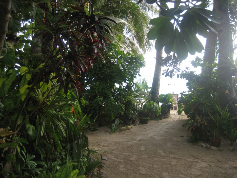 Blick zum Starnd Hotel Nigi Nigi Nu Noos 'e' Nu Nu Noos