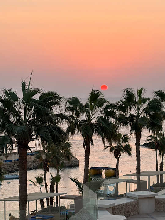 Ausblick Pickalbatros Citadel Resort