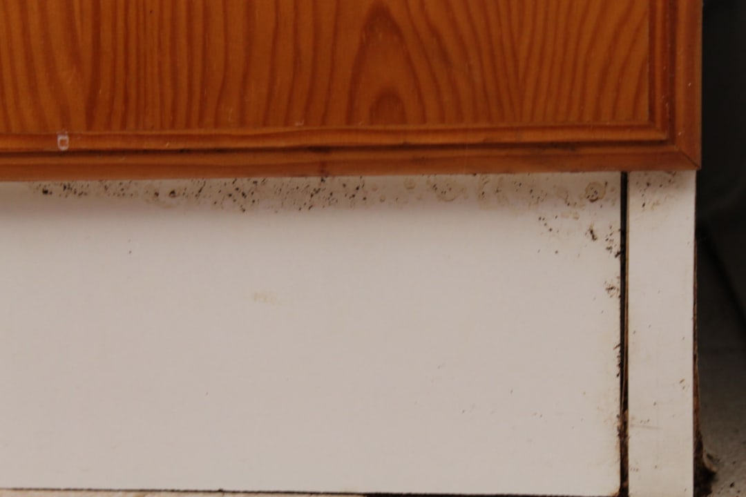 Dreck am Küchenschrank Hipotels Mediterraneo Club