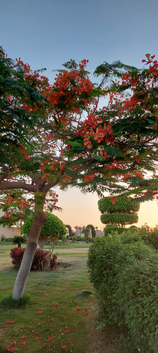 Gartenanlage Cleopatra Luxury Resort Makadi Bay