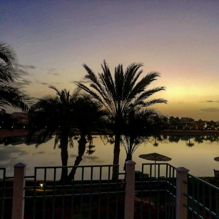 Ausblick Mövenpick Resort & Spa El Gouna
