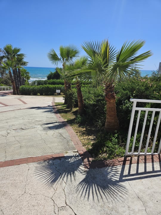 Gartenanlage Alba Resort Hotel
