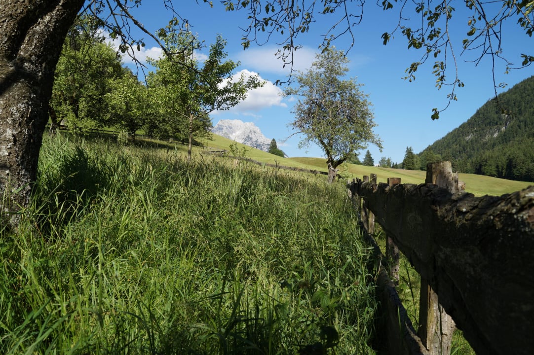 Garten und der Wilde Kaiser Pension-Biobauernhof Hagenhof