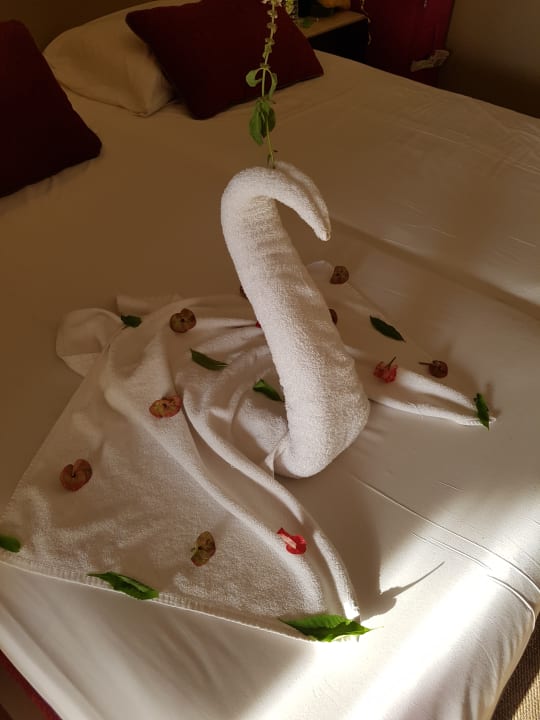 Kleine Überraschung im Zimmer Jaz Makadi Oasis Resort