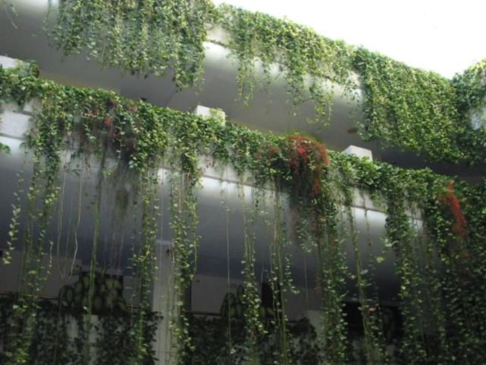 Hotellobby Alexandre Hotel Gala