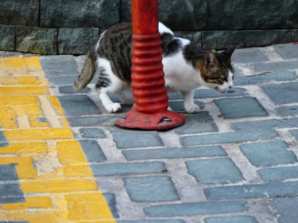 Sonstiges Ramada Plaza by Wyndham Antalya