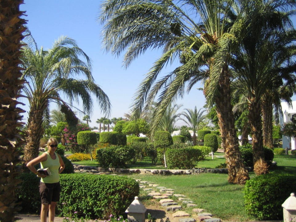 Gartenalage Lotus Bay Beach Resort